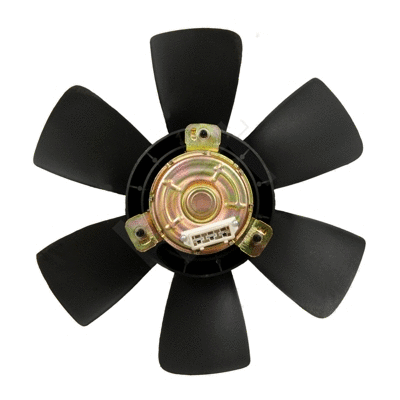Fan, engine cooling
