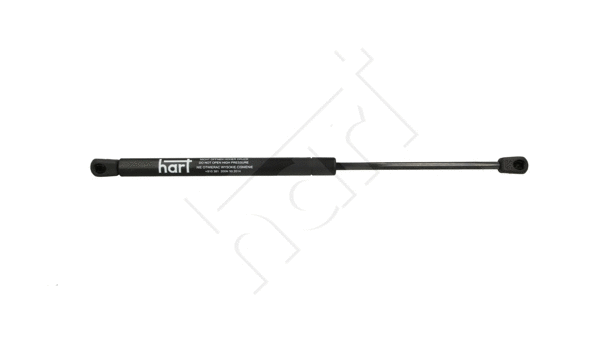 Gas Spring, boot/cargo area (810 381)