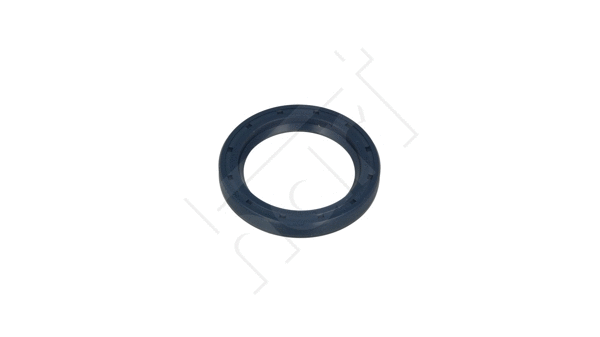Shaft Seal, camshaft (711 699)
