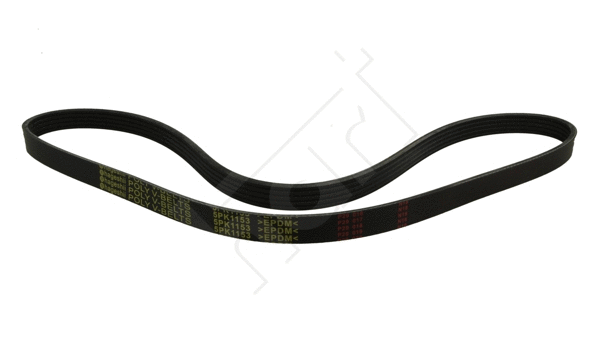 V-Ribbed Belt (368 866)