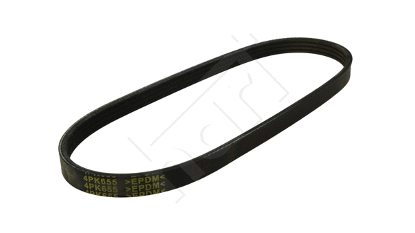V-Ribbed Belt (368 852)