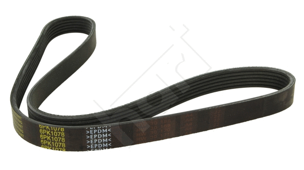 V-Ribbed Belt (338 074)