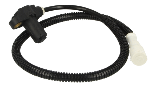 Sensor, wheel speed (522 946)