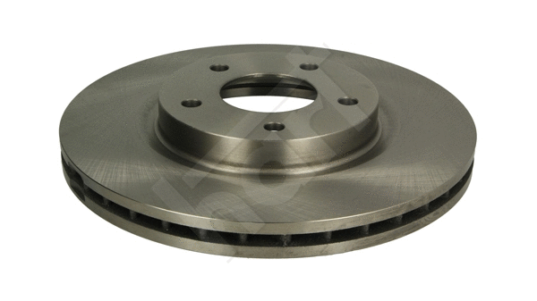 Brake Disc (256 718)