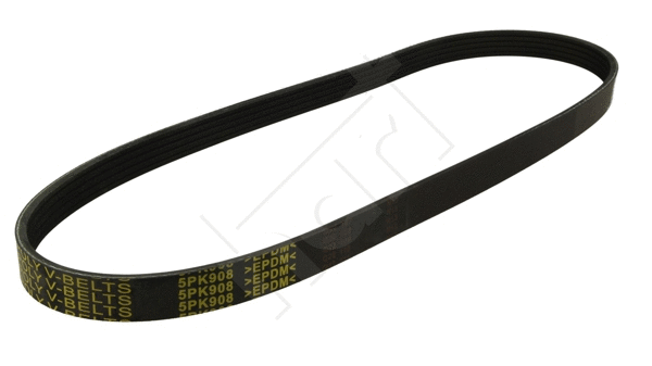 V-Ribbed Belt (368 901)