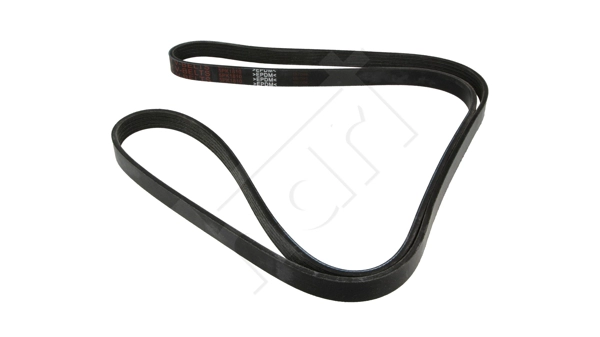 V-Ribbed Belt (930 682)