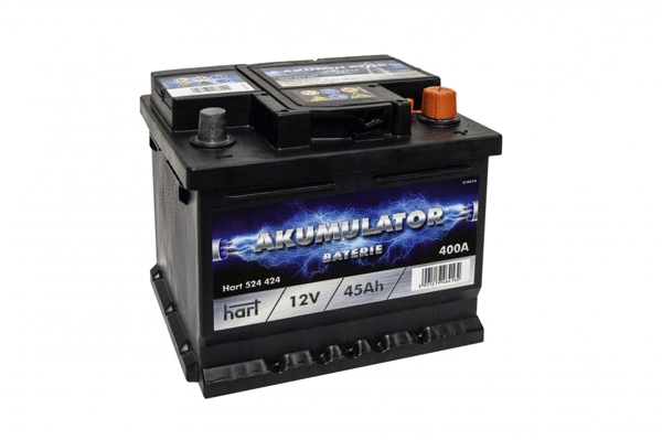 Starter Battery (524 424)