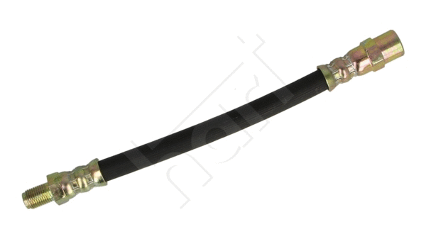 Brake Hose (220 287)