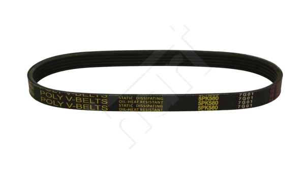 V-Ribbed Belt (338 071)