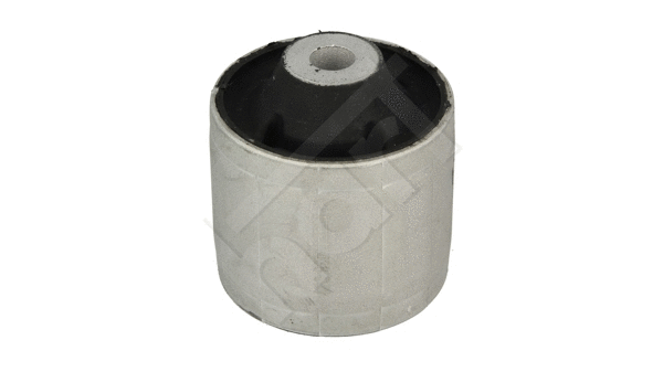 Mounting, control/trailing arm (438 051)