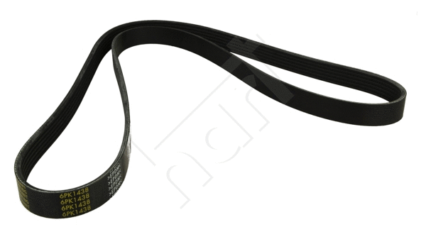 V-Ribbed Belt (513 802)
