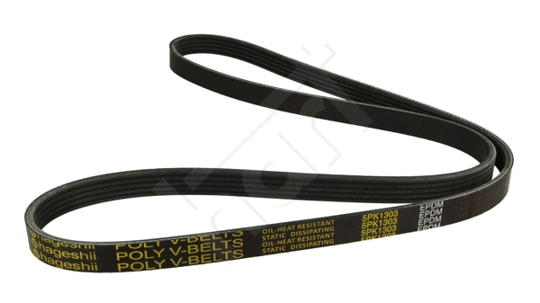 V-Ribbed Belt (338 064)