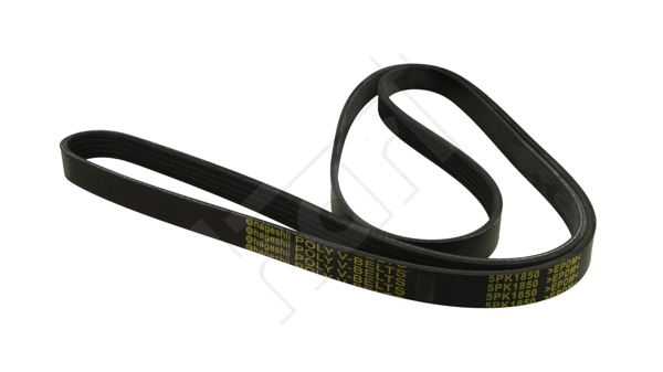 V-Ribbed Belt (368 886)