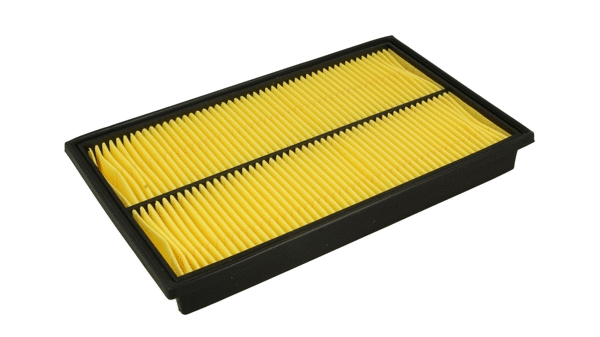 Air Filter (915 820)