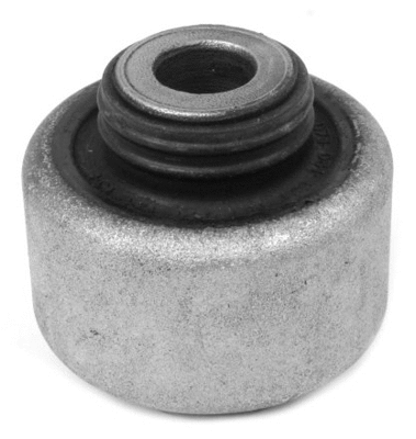 Mounting, control/trailing arm (427 085)