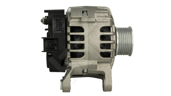 Alternator (534 396)