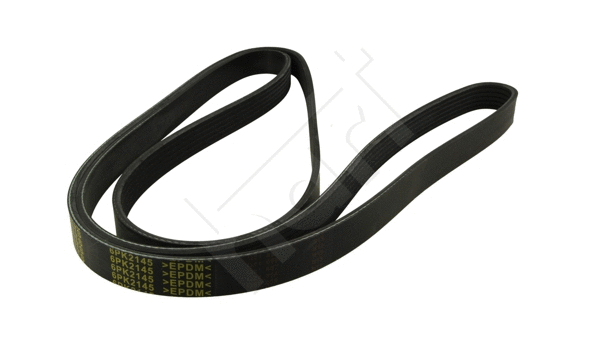 V-Ribbed Belt (368 982)
