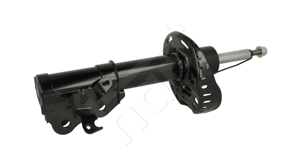 Shock Absorber (810 062)