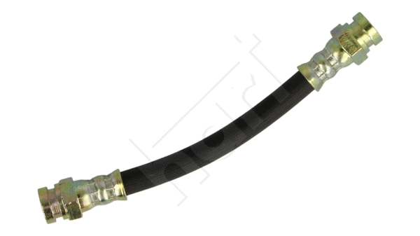 Brake Hose (219 923)