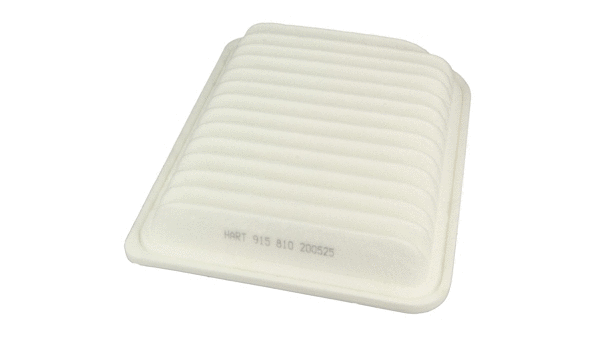 Air Filter (915 810)