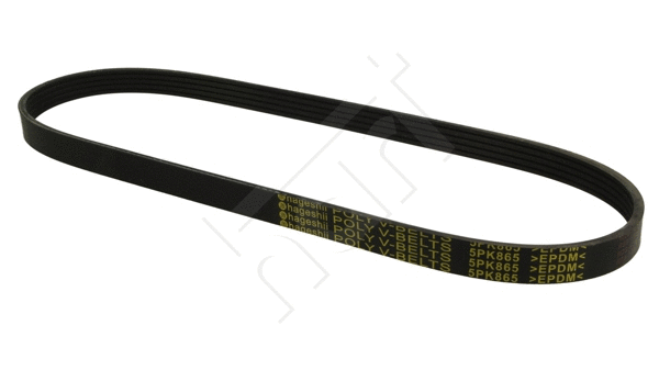 V-Ribbed Belt (368 897)