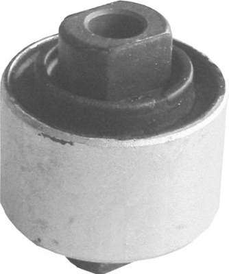 Mounting, control/trailing arm (420 771)
