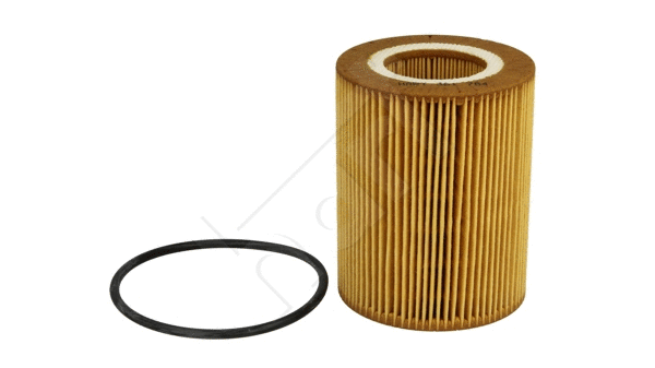 Oil Filter (361 784)