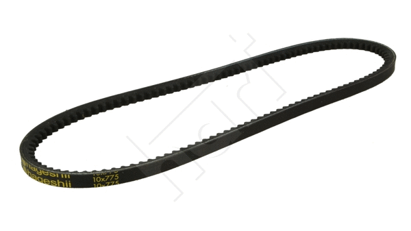 V-Belt (338 050)