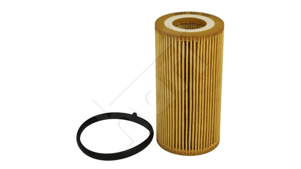 Oil Filter (361 544)