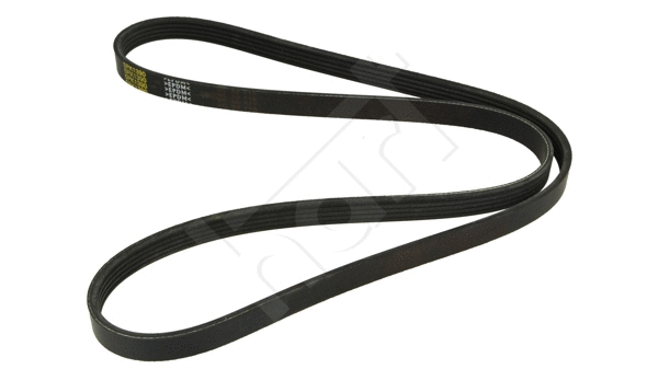 V-Ribbed Belt (917 756)