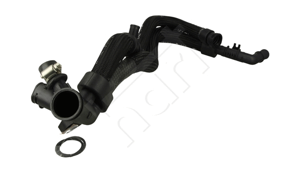 Radiator Hose (619 177)