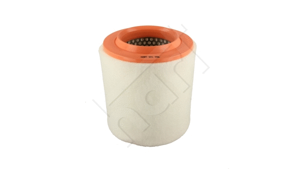 Air Filter (371 996)