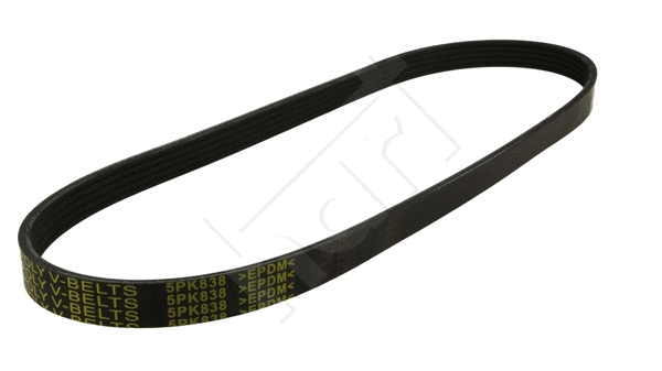 V-Ribbed Belt (368 896)