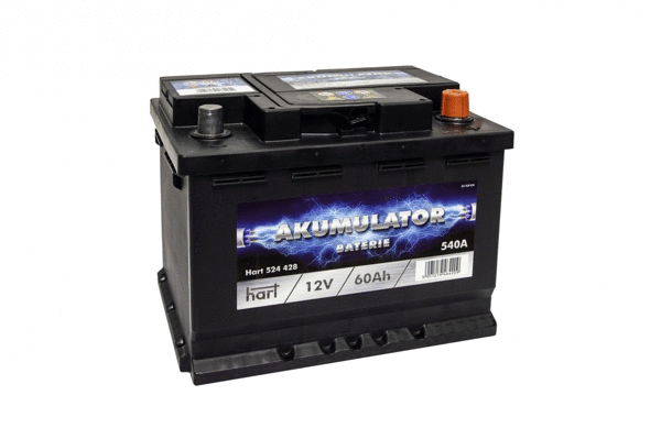 Starter Battery (524 428)
