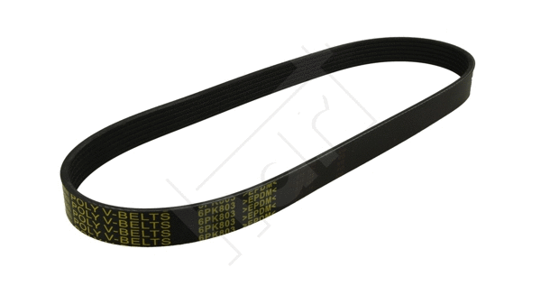 V-Ribbed Belt (368 996)