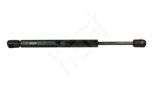 Gas Spring, boot/cargo area (813 979)