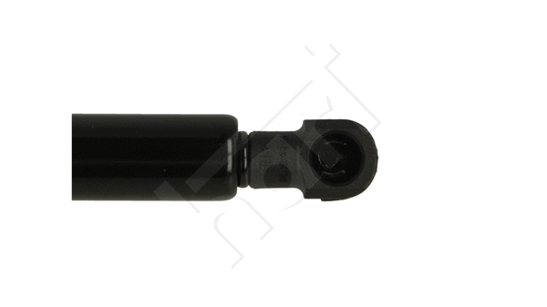 Gas Spring, bonnet