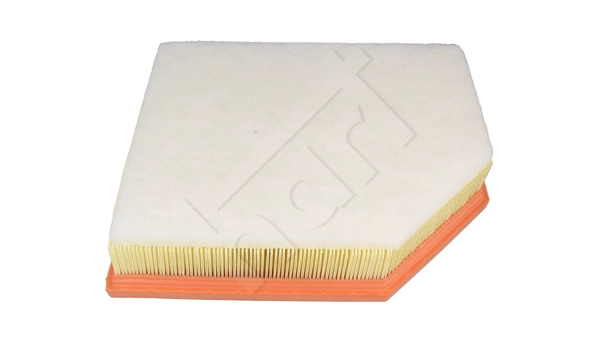 Air Filter (930 755)