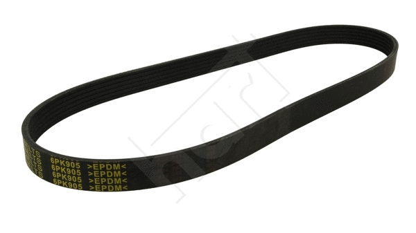 V-Ribbed Belt (369 001)