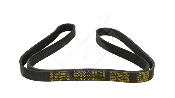 V-Ribbed Belt (917 417)