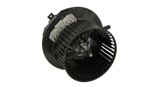 Interior Blower (641 078)