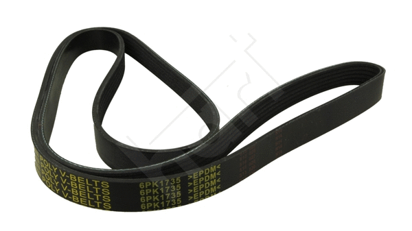 V-Ribbed Belt (368 961)
