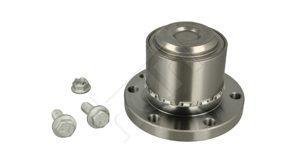 Wheel Bearing Kit (904 667)