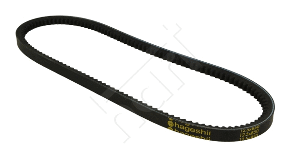 V-Belt (305 711)
