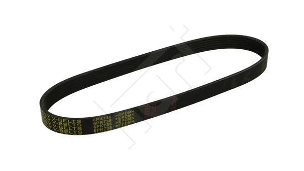 V-Ribbed Belt (368 993)