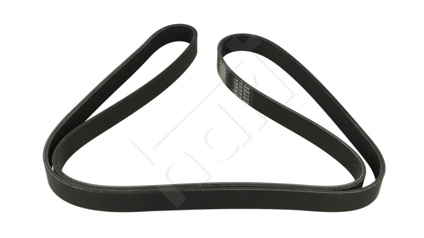 V-Ribbed Belt (917 767)