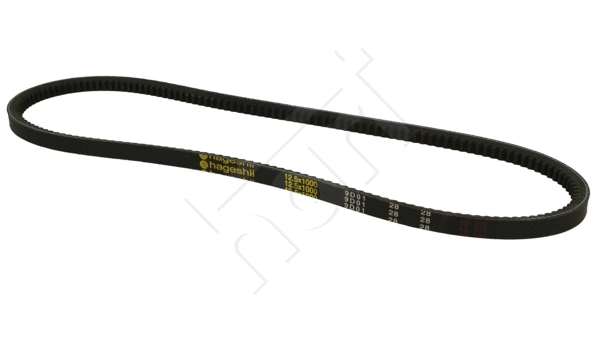 V-Belt (305 613)