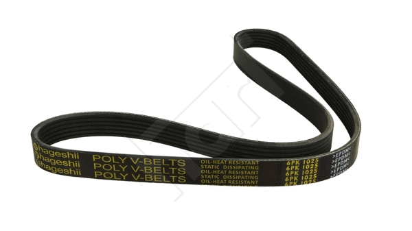 V-Ribbed Belt (334 312)