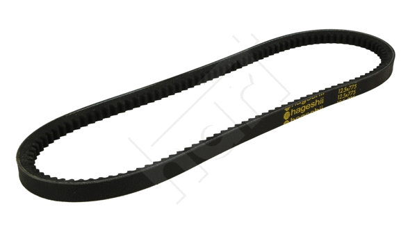 V-Belt (334 326)