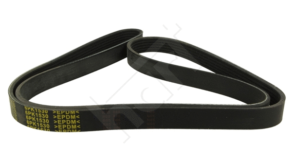 V-Ribbed Belt (368 945)